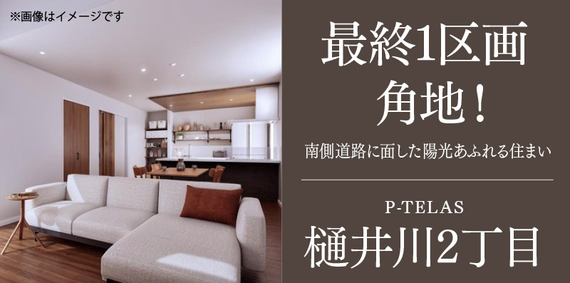 福岡市城南区の新築一戸建て「P-TELAS樋井川2丁目」