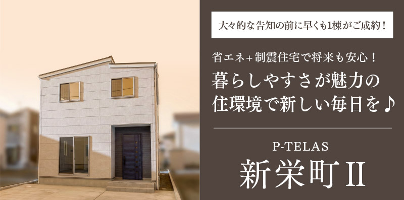 大分市の新築一戸建て「P-TELAS新栄町Ⅱ」