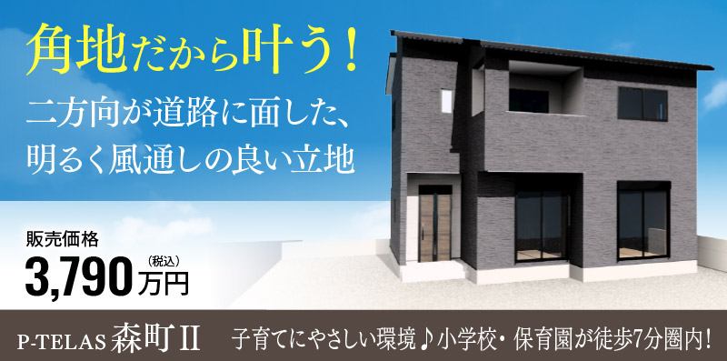 大分市の新築一戸建て「P-TELAS森町Ⅱ」