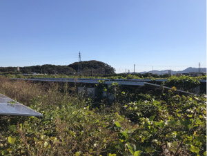 太陽光発電　施工写真2