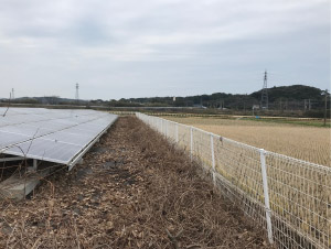 太陽光発電　施工写真3