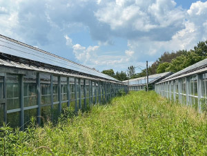 太陽光発電　施工写真5