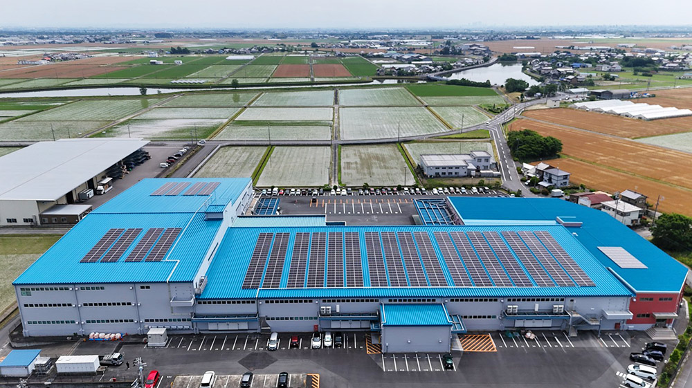 【523.20kW余剰売電型太陽光発電】岐阜県海津市 クロスプラス株式会社